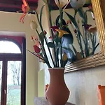 Lumineux Dans Ancienne Orangerie Avec Jardin Et Barbecue - Fr-1-489-281