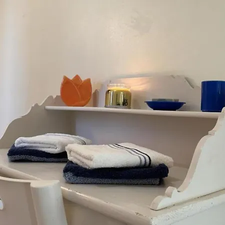 Vakantiehuis Lumineux Dans Ancienne Orangerie Avec Jardin Et Barbecue - Fr-1-489-281